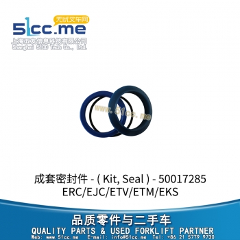 Kit, Seal 50017285