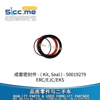 成套密封件 50019279