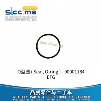 EFG O型圈 00001184