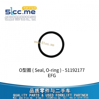 EFG O型圈 51192177