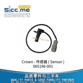 Sensor 065196-001