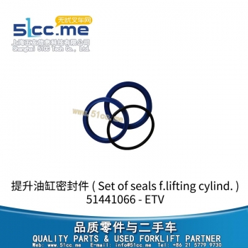 ETV 提升油缸密封件 51441066