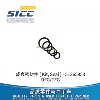 DFG/TFG 成套密封件 51365953