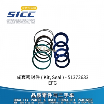EFG 成套密封件 51372633