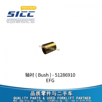 EFG 轴衬 51286910