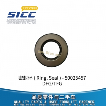 DFG/TFG 密封环 50025457