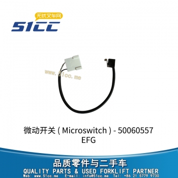 EFG Microswitch 50060557