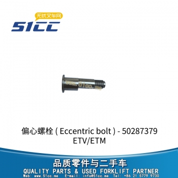 ETV/ETM 偏心螺栓 50287379