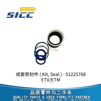 ETV/ETM 密封件 51225768