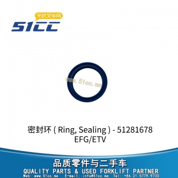 密封环 51281678