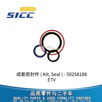ETV 成套密封件 50258188
