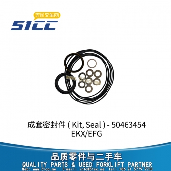 EKX/EFG 成套密封件 50463454