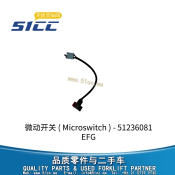 EFG 微动开关 51236081