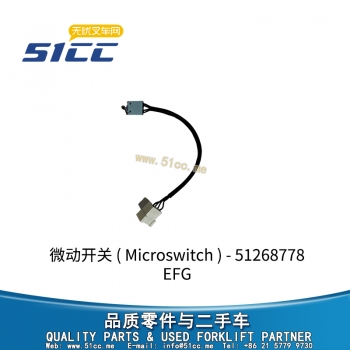 EFG 微动开关 51268778