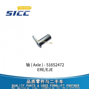 ERE/EJE 轴 51652472