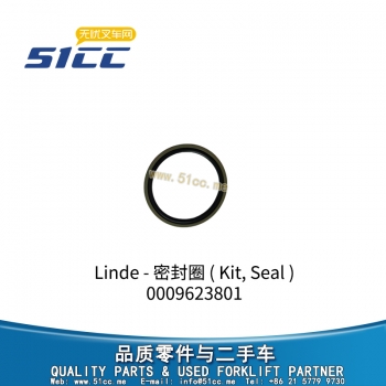 Kit, Seal 0009623801