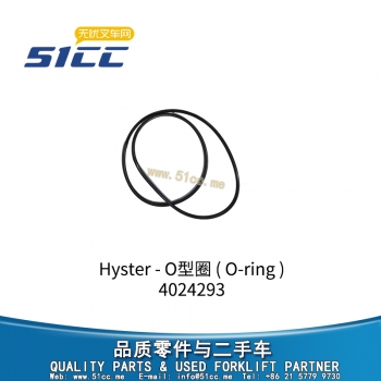 O型圈 4024293