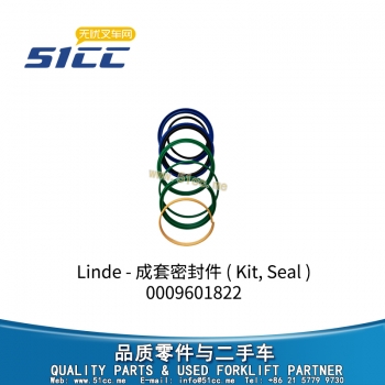 成套密封件 0009601822