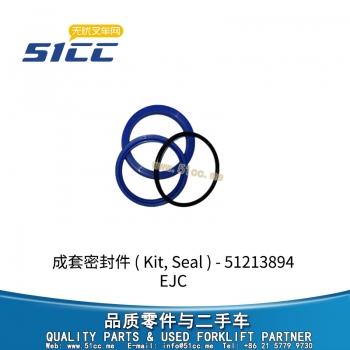 EJC 成套密封件 51213894