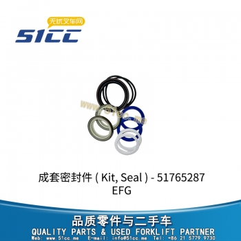 EFG 成套密封件 51765287