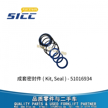 成套密封件 51016934