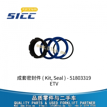 ETV 成套密封件 51803319