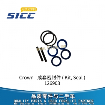 成套密封件 126903