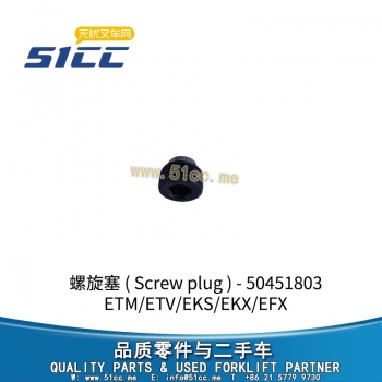 Screw plug 50451803