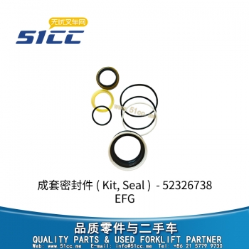EFG 成套密封件 52326738