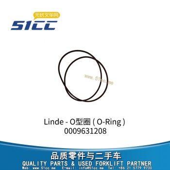 O型圈 0009631208