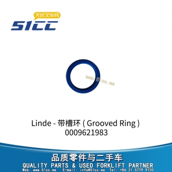 带槽环 0009621983