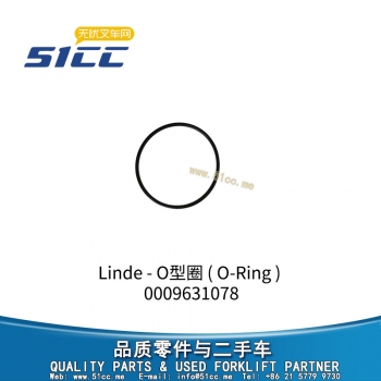 O型圈 0009631078