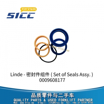 密封件组件 0009608177