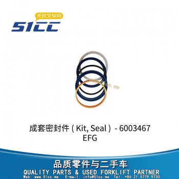 EFG 成套密封件 51200988
