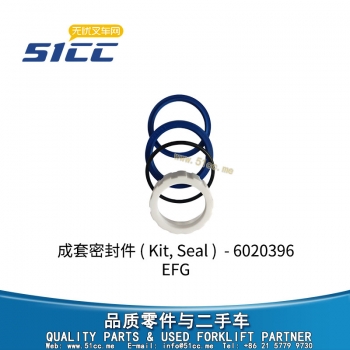 EFG 成套密封件 51921251