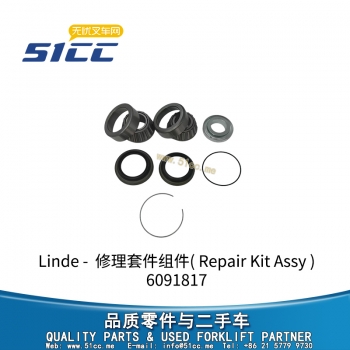 Repair Kit Assy 6091817