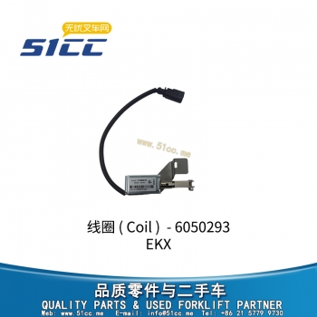 Coil 51580419-6050293