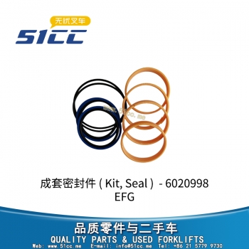 成套密封件 50042636-6020998