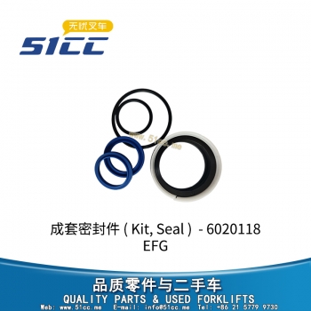 成套密封件 51055631-6020118