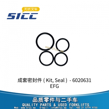 成套密封件 51170166-6020631
